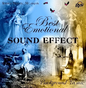 RCD500 Best Emotional Sound Effects